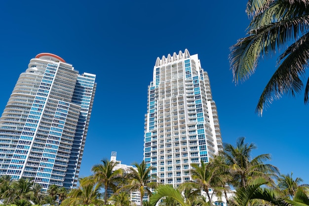 Grattacieli architettura urbana moderna e palme sul cielo blu a South Beach USA