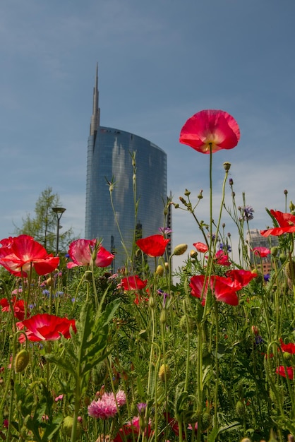 Grattacieli con bosco sui terrazzi