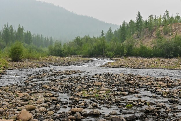 Grayling Creek sull'altopiano Putorana