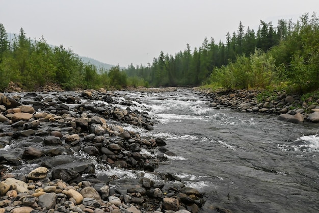 Grayling Creek sull'altopiano Putorana