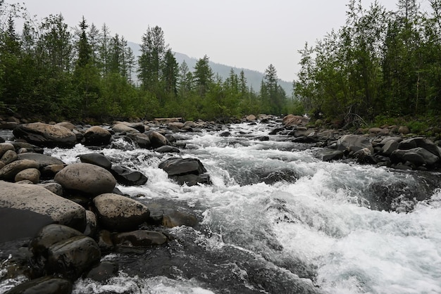 Grayling Creek sull'altopiano Putorana