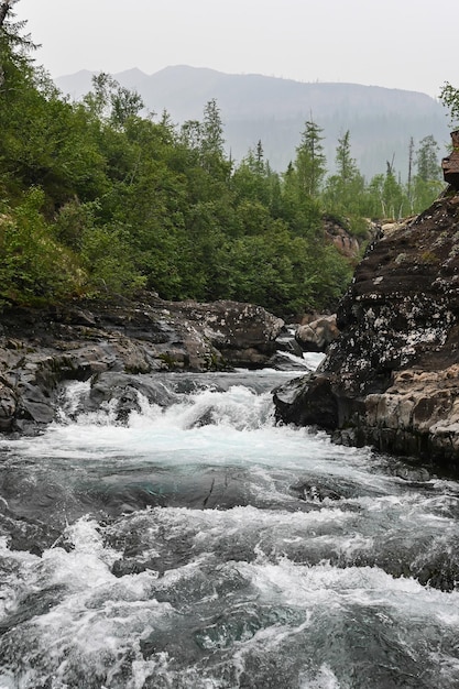 Grayling Creek sull'altopiano Putorana