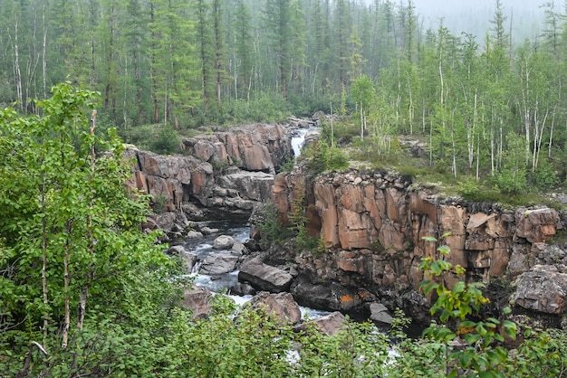 Grayling Creek sull'altopiano Putorana