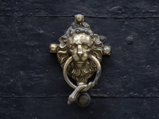 Graz austria decorazione porta oro leone e serpente