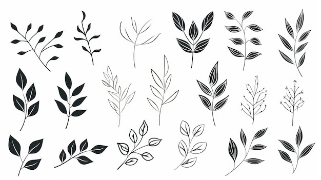 Graziosi disegni di piante minimalisti su sfondo bianco