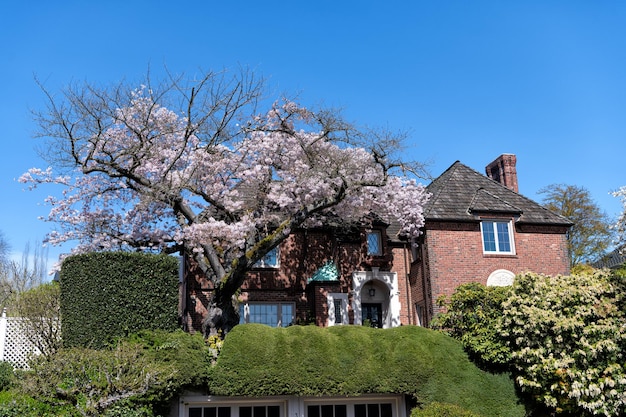 Grazioso edificio residenziale fuori città. casa di campagna o casa di vacanza. immobiliare. affittare una casa. assicurare l'alloggio. concetto di assicurazione. casetta di famiglia. abitare con alberi.