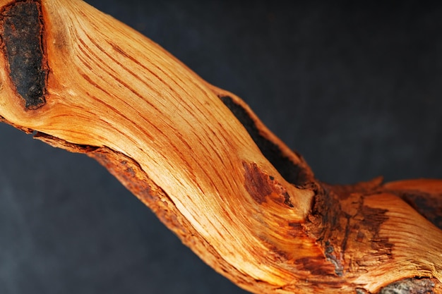 Grazioso legno curvato Driftwood su sfondo nero
