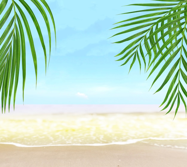 Green coconut palm trees on the grass in sunny beach