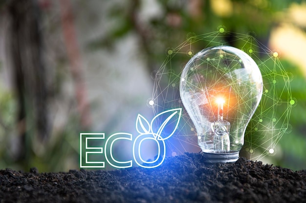 Green ecofriendly lampadina concetto di energia verde