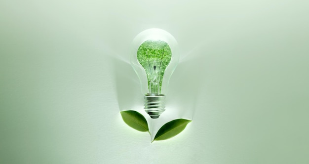 Green Energy Concepts Lampadina senza fili con foglia verde come segno di luce su CO2 neutrale ed emissioni ESG per l'energia pulita Risorse sostenibili Rinnovabili e tutela dell'ambiente