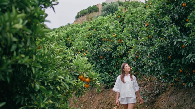 Green hills piantagione di arance donna felice raccogliendo agrumi mettendo a sacchetto di vimini