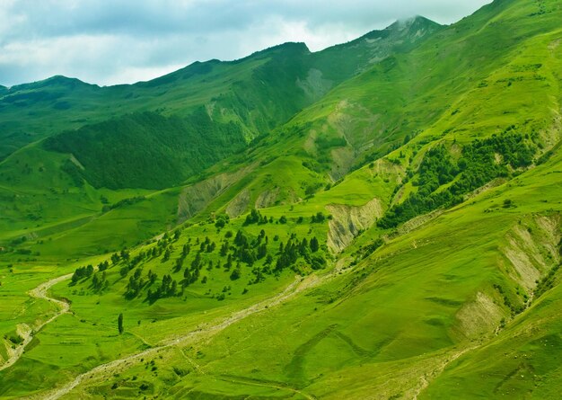 Green Mountains