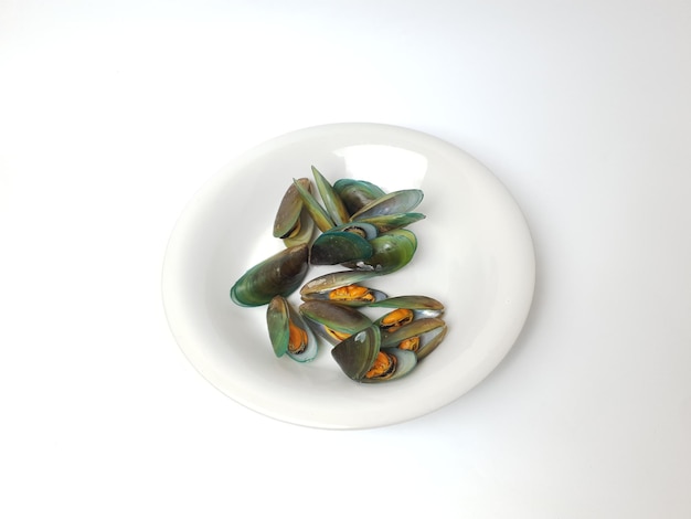 Green Shell Mussel su un piatto isolato su sfondo bianco Cozze fresche della Nuova Zelanda o Perna Canali