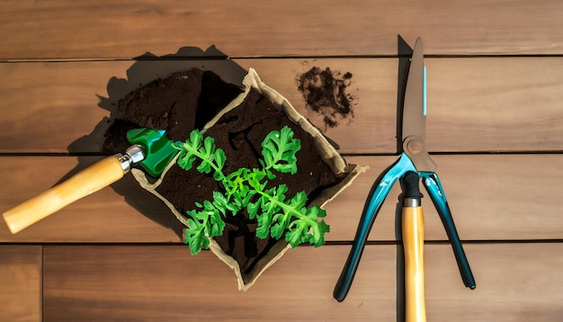 Green Thumb Essentials Vista dall'alto degli attrezzi da giardinaggio sul pavimento in legno Preparati a coltivare