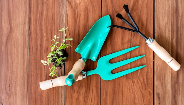 Green Thumb Essentials Vista dall'alto degli attrezzi da giardinaggio sul pavimento in legno Preparati a coltivare