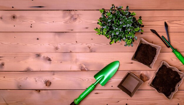 Green Thumb Essentials Vista dall'alto degli attrezzi da giardinaggio sul pavimento in legno Preparati a coltivare