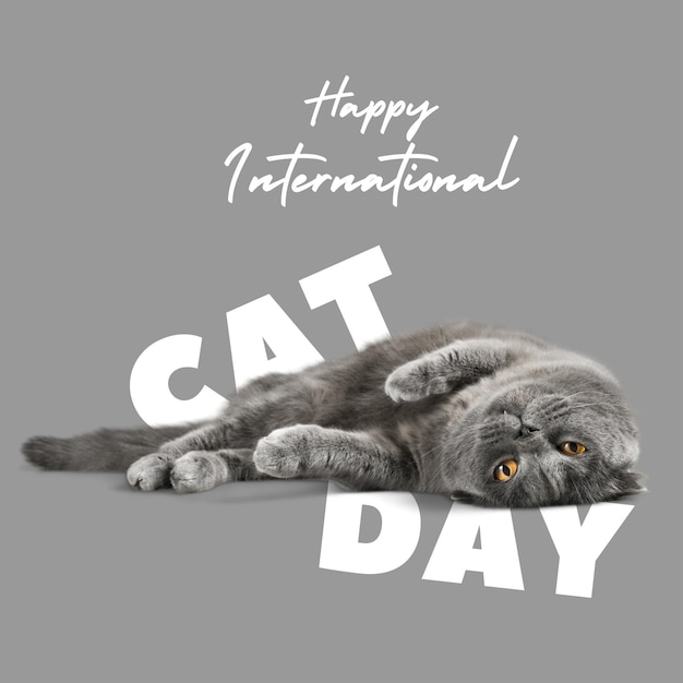Grigio scuro moderno Felice Giornata Internazionale del Gatto