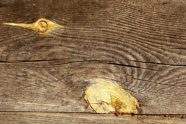 grigio vecchia tavola di legno texture con ramoscelli gialli, sfondo di legno