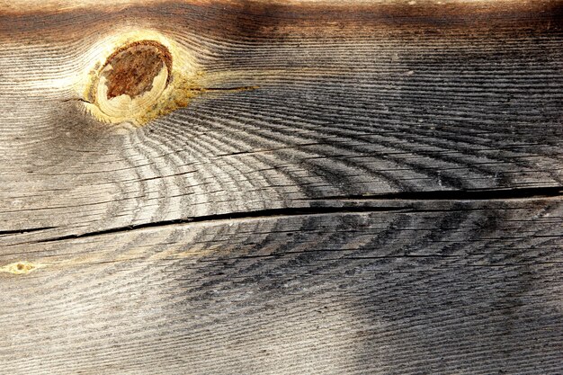 grigio vecchia tavola di legno texture con ramoscelli gialli, sfondo di legno