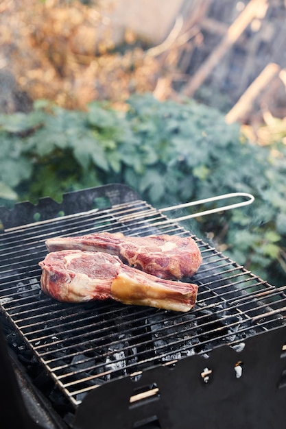 griglia da barbecue per la griglia di carne cruda