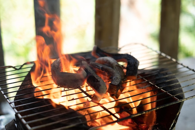 Grigliare una fetta di bufalo su un fuoco di carbone aperto