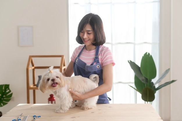 Groomer professionista femminile che taglia i capelli e pettina la pelliccia del cane al pet spa grooming