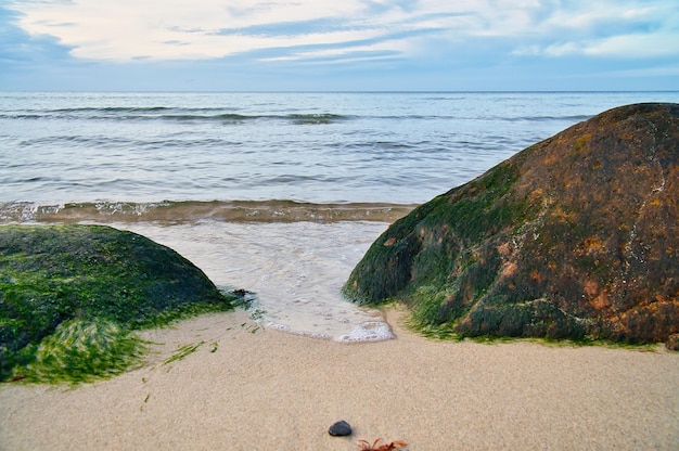 Grossa pietra sulla spiaggia sabbiosa di fronte al mare con le nuvole nel cielo La Scandinavia