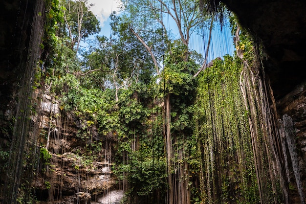 Grotta sotterranea del lago cenote di Ik Kil