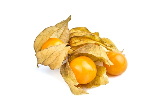 Groundcherries Physalis isolato