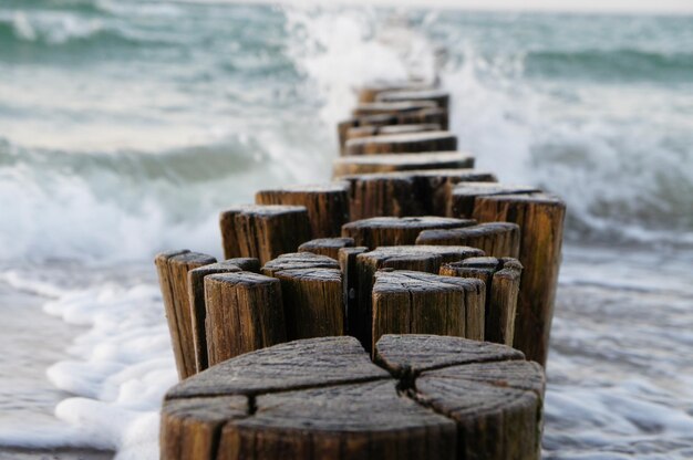 Groynes che si protende nel Mar Baltico