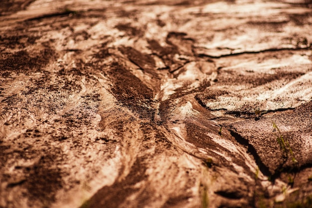 Grunge dettagliate closeup trama di argilla bagnata Fango bagnato con gocce di pioggia luce del sole La superficie di Marte