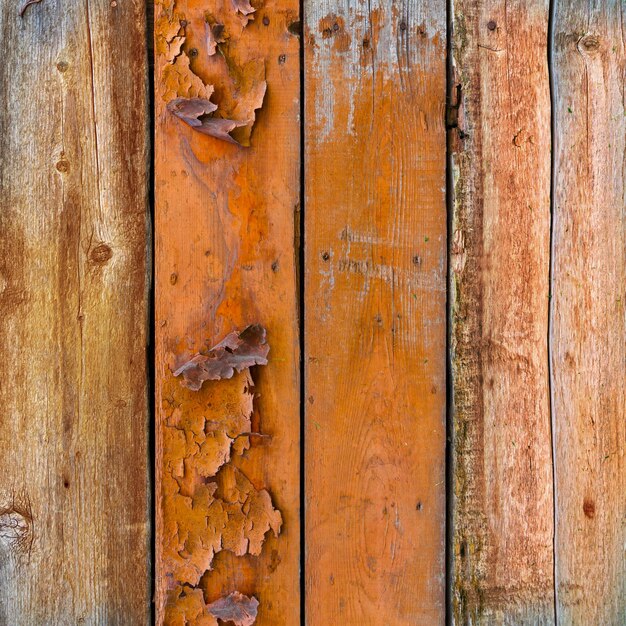 Grunge di struttura della parete del pannello di legno