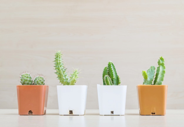 Gruppo del primo piano di cactus in vaso di plastica sullo scrittorio e sulla parete di legno