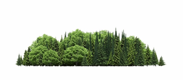 gruppo di alberi isolati su uno sfondo bianco grandi alberi nella foresta 3D render cg illustrazione