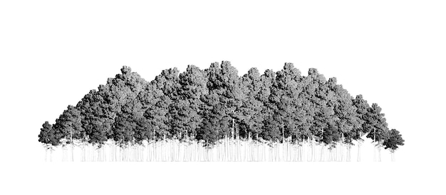 gruppo di alberi isolati su uno sfondo bianco illustrazione del contorno dello schizzo della foresta rendering cg