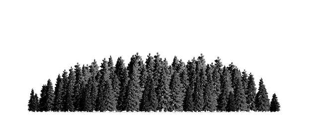 gruppo di alberi isolati su uno sfondo bianco illustrazione del contorno dello schizzo della foresta rendering cg