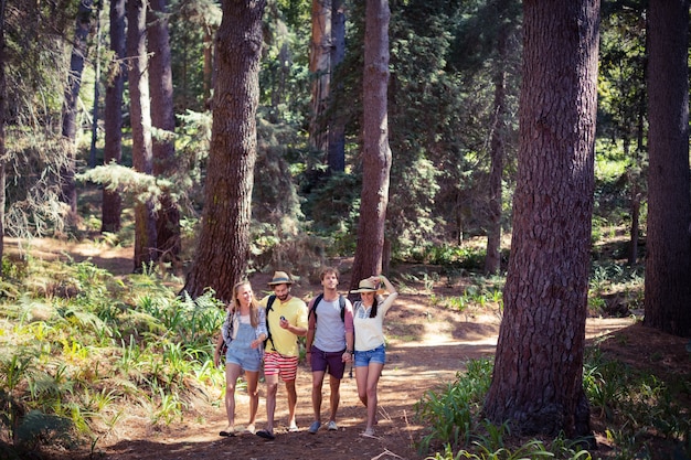 Gruppo di amici che camminano insieme nella foresta