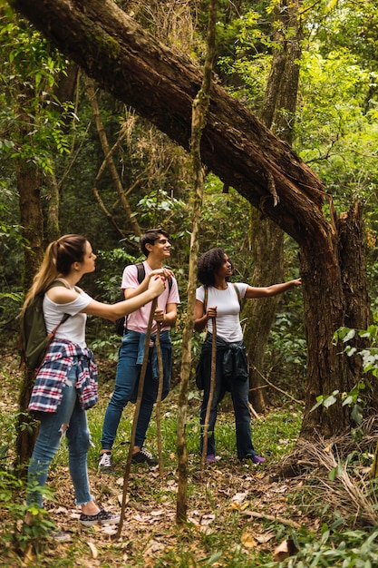 Gruppo di amici che camminano nel parco e si godono il momento all'aperto