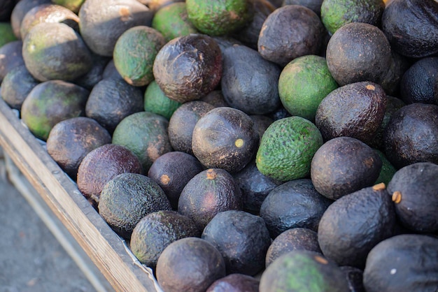 Gruppo di avocado freschi dal verde della natura