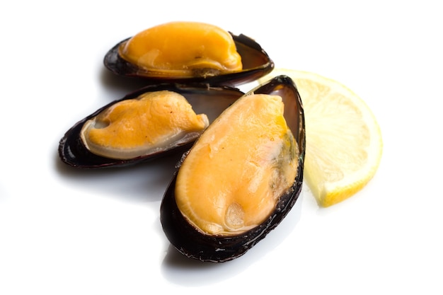 Gruppo di cozze fresche su sfondo bianco