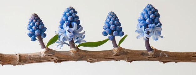 Gruppo di fiori blu poggiati su un ramo di legno