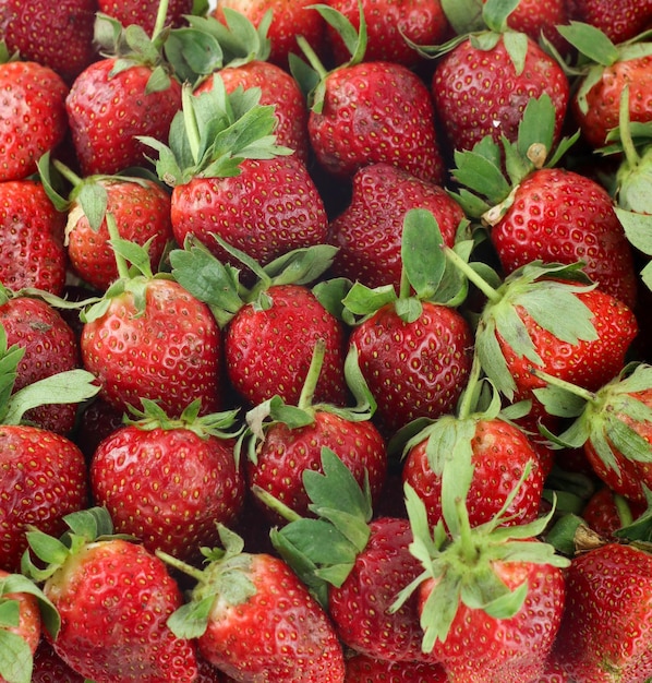 gruppo di fragole succose rosse concetto di snack sani e dietetici.