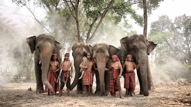 gruppo di mahout ed elefanti nella foresta