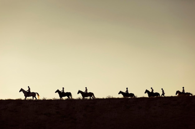 Gruppo di persone a silhouette sul campo