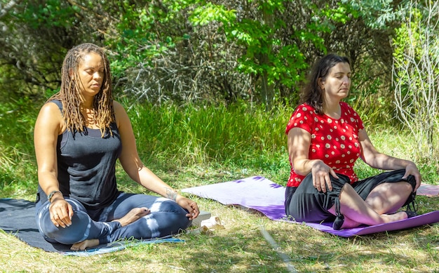 gruppo di persone che fanno esercizi di yoga nel parco donne che si rilassano nel parco