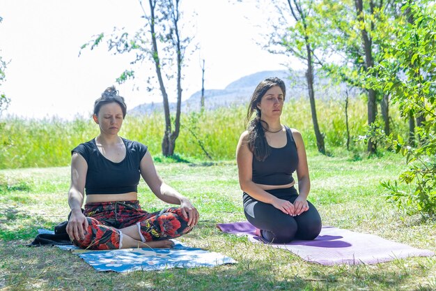 gruppo di persone che fanno esercizi di yoga nel parco donne che si rilassano nel parco