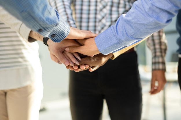 Gruppo di persone che la pensano allo stesso modo che uniscono i palmi delle mani