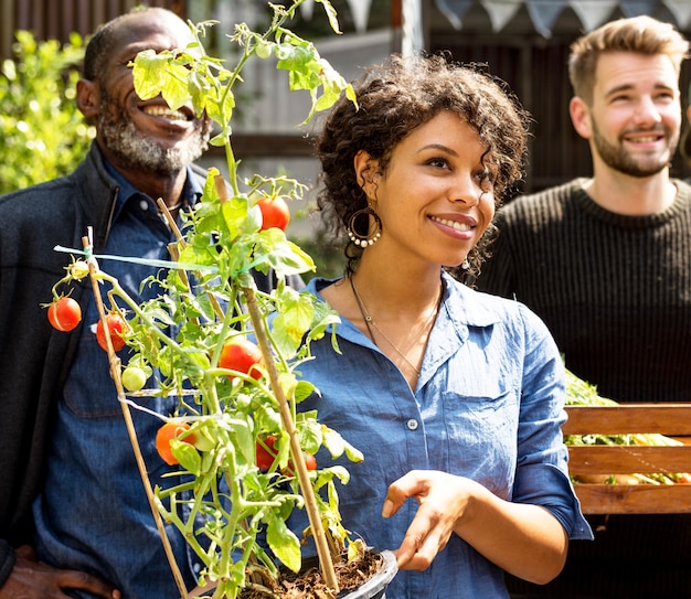 Gruppo di persone giardinaggio cortile insieme