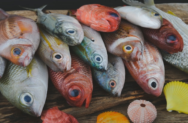 Gruppo di pesci di mare colorati con colore di tono grigio.