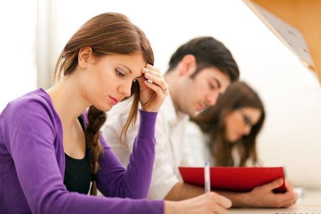 Gruppo di studenti al lavoro in una biblioteca